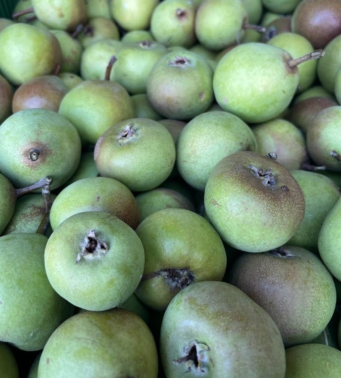 Poire à Botzi AOP